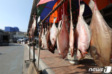 100년 넘은 경북 영양시장 오후 2시에 이미 ‘파장’…올해 첫 ‘4차로’ 건설[지방소멸은없다]