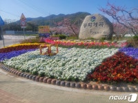 꽃이 될래요 음성군, 16억 들여 도시경관 가꿔