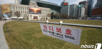 3년 만에 잔디 전면 교체한 서울광장