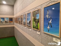 스마트폰만 있으면 여러분도 사진작가