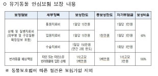 서울시, 유기동물 입양한 반려인에 안심 동물보험가입비 지원