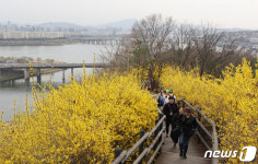개나리 만개한 응봉산 오르는 시민들