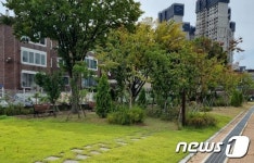 인천시 올해 관내 초·중·고 7곳에 학교숲 조성