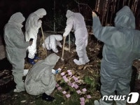 김동연 양평 이어 광주서도 동물학대 발견…즉시 신고해달라