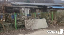경기 광주 한 육견 농장서 개 사체·뼈 무덤 발견