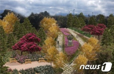 제주도, 고향사랑 기부금으로 기부숲 조성한다