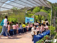 경남 창녕군, 멸종위기2급 대모잠자리 1000마리 자연으로