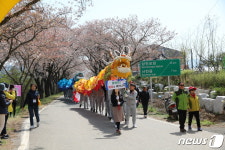 경남 사천 벚꽃 만개…선진리성 벚꽃축제 4월1일 개최