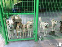 용인시, 동물보호센터서 반려동물 입양하면 15만원 지원