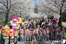 제1회 고창 벚꽃 축제 화려한 ‘팡파르’…2일까지 석정온천 주변서 열려