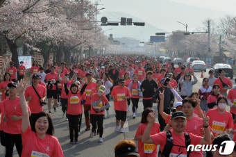 '경주벚꽃마라톤이 제일 좋아'