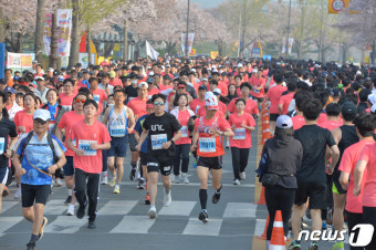 [화보]제30회 경주벚꽃마라톤 대회 4년 만에 힘찬 출발