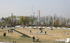 노들섬에서 처음 열린 반려견 축제 놀멍 뭐하니
