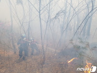 건조한 날씨·강한 바람에 천안·서산서 산불 3건