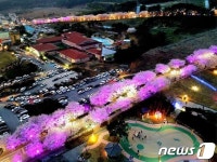 제1회 고창 벚꽃축제 대박…구름 인파 몰리며 성공 축제 자리매김