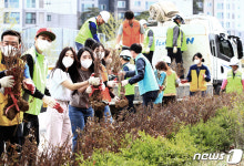 묘목 옮기는 봉사자들