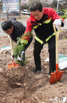 금강산성 등산로에 나무심는 최기문 영천시장