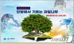 ‘안방에서 기르는 사과나무’…전북도, 메타팜 직거래 플랫폼 사업 추진