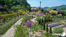 동화 속 풍경 같은 그곳…괴산트리하우스 마음치유농장 선정