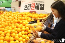 더 크게, 달콤하게…롯데마트, 프리미엄 과일 인기