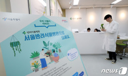 서울시 반려식물병원 개원