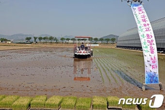 부산 올해 첫 모내기14일 강서구서…작년보다 5일 빨라