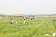 군산 꽁당보리축제로 오세요…내달 4~6일 미성동 국제문화마을