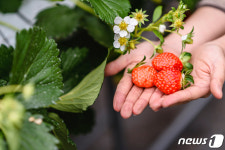 제주신라호텔, 초등학교 체험학습 맞춤형 패키지 출시