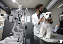 대구 중구, 장애주민 반려동물 의료 지원…동물병원 6곳과 협약
