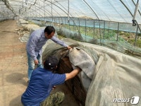 금산군, 볍씨소독·못자리 설치 농업인 중점지도 실시