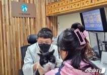 허리 디스크 걸린 닥스훈트…수의사가 한 일은[벳앤패밀리]