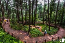 산림청, 복권기금사업 ‘매우우수’…나눔숲·무장애숲길·숲체험 인기