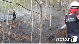 보령 미산면서 산불 30분만에 진화…묘지에서 불씨 비화 추정