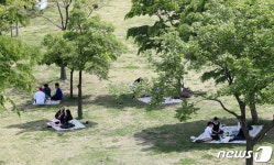 나무그늘 아래 삼삼오오 둘러앉아