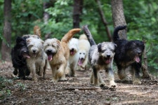 4대궁과 왕릉, 천연기념물 센터서 즐기는 어린이날