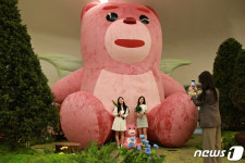 DDP에 나타난 벨리곰