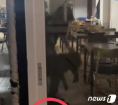 술 먹고 이성 잃었다 반려견 내동댕이 친 식당 주인 송치