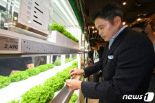 정용진 신세계 부회장 이마트에는 스마트팜이 있어요