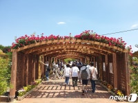 모처럼 화창한 주말…대전·충남 계룡산·유원지 인파 북적