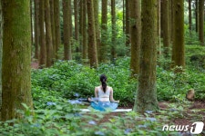 하이원리조트, 투숙객 대상 ‘치유의 쉼’ 프로그램 무료 제공