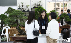 우리집에 둘 분재 어떤 게 좋을까요?