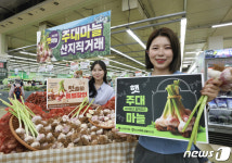 하나로마트, 주대마늘 할인 판매 돌입