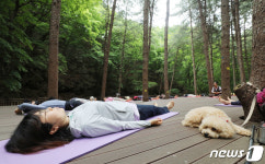 산 속에서 요가 수업 받는 시민들