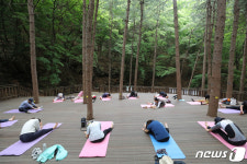 숲속에서 맑은 공기를 마셔요