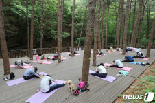 숲속에서 맑은 공기를 마셔요