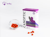 한국반려동물영양연구소 메가주 참가…닥터레이 영양제 소개