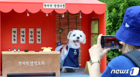 강아지 포차 왔어요