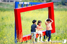 [오늘의 날씨] 광주·전남(24일, 수)…덥고 아침 짙은 안개