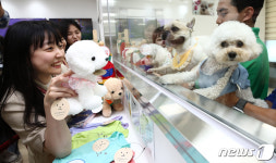 국내 1호 김포공항 애견센터 공식 개장