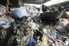 [뉴스1 PICK]오늘은 세계 환경의 날, 우리 모두 환경을 지켜요